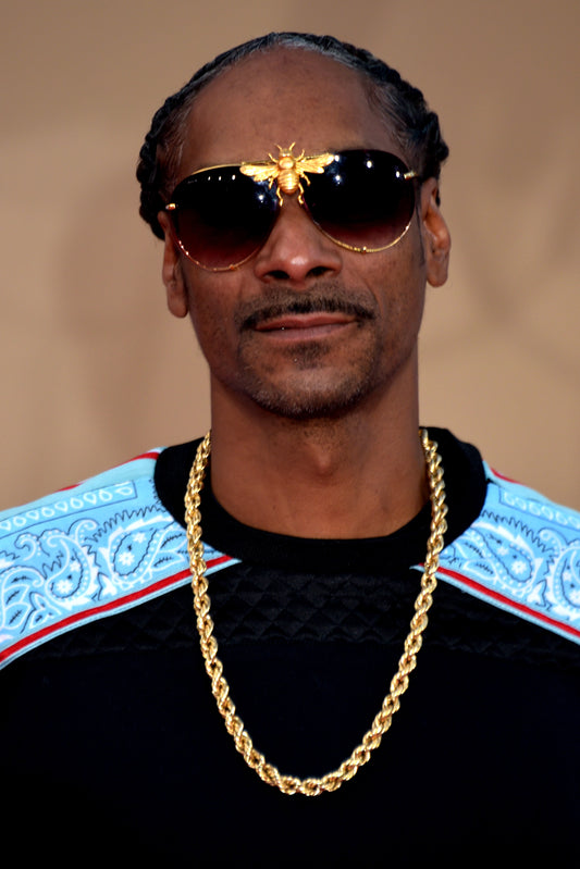 Now Booking Snoop Dogg